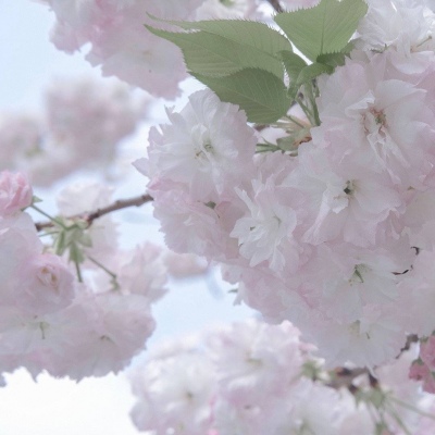 荣县FurryQQ群介绍